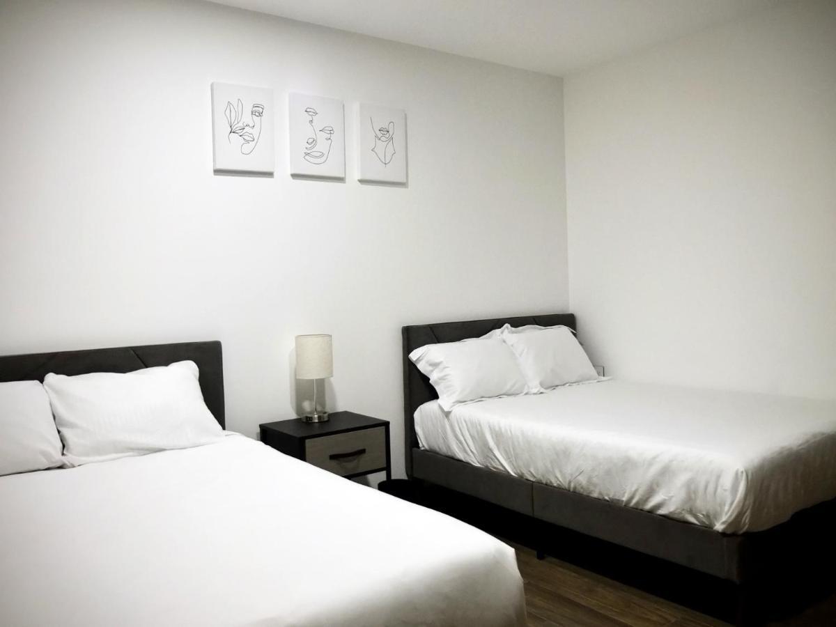 メキシコシティFlats Friends Condesa-Pelotariアパートメント エクステリア 写真