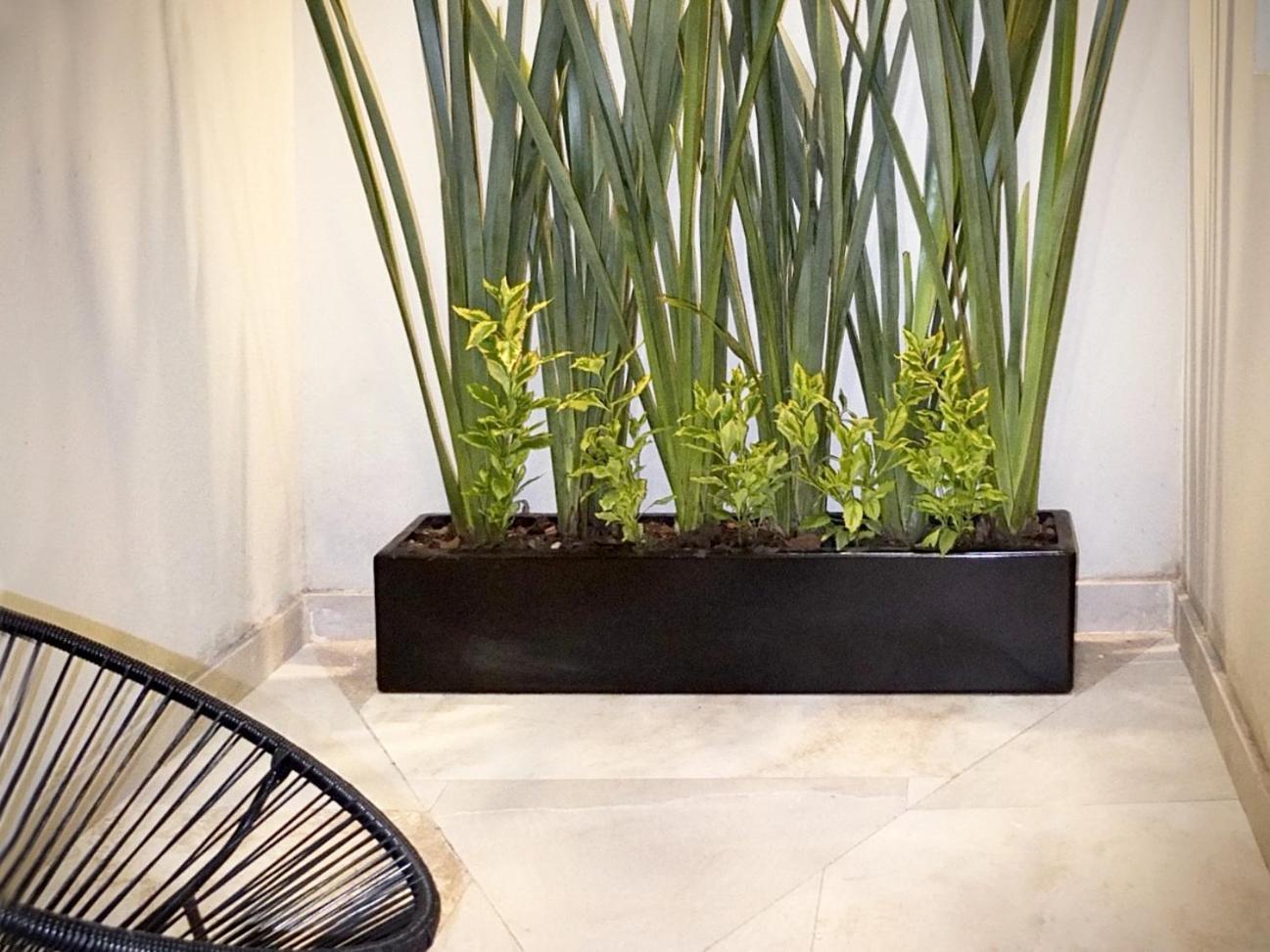 メキシコシティFlats Friends Condesa-Pelotariアパートメント 部屋 写真